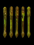 Gator Moss Mini Trick Worm